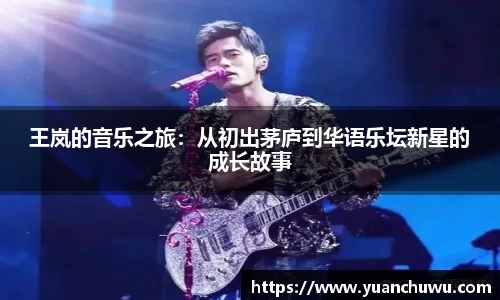 王岚的音乐之旅：从初出茅庐到华语乐坛新星的成长故事