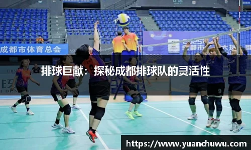 排球巨献：探秘成都排球队的灵活性