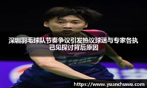 深圳羽毛球队节奏争议引发热议球迷与专家各执己见探讨背后原因