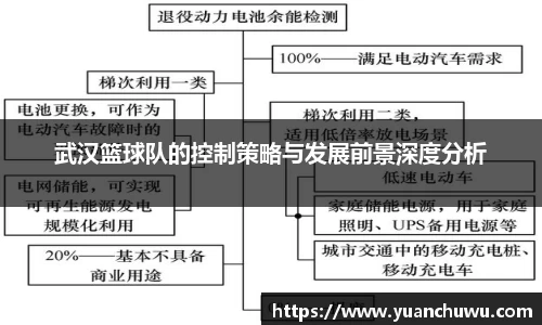武汉篮球队的控制策略与发展前景深度分析