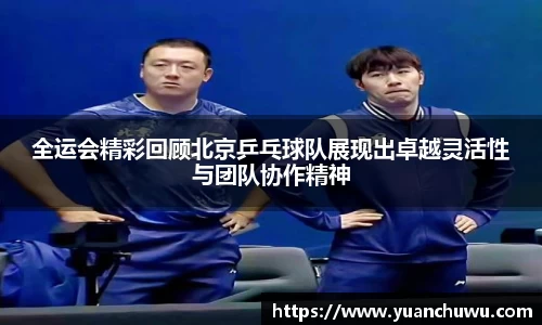 全运会精彩回顾北京乒乓球队展现出卓越灵活性与团队协作精神