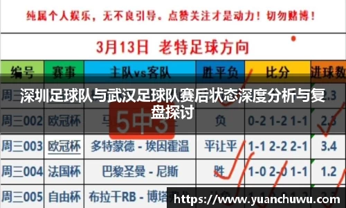 深圳足球队与武汉足球队赛后状态深度分析与复盘探讨